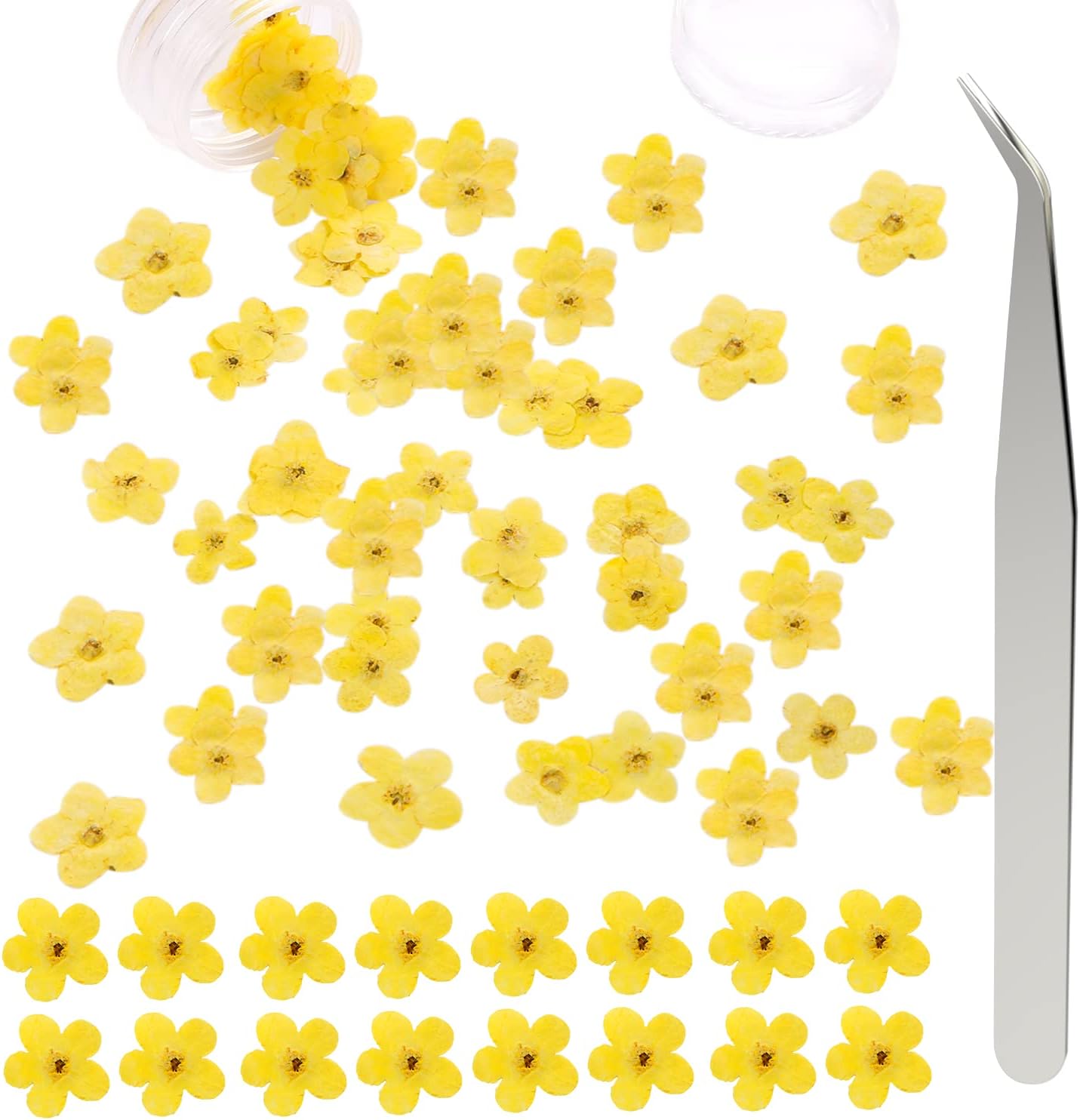 Forget Me Not Dried Flowers, 50Pcs Don't Forget Me Dried Flowers Natural Dried Pressed Flowers with Forceps for Resin Jewelry Making Candle Nail Art Flower Ornaments Paper Making Supplies