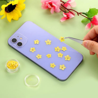 Forget Me Not Dried Flowers, 50Pcs Don't Forget Me Dried Flowers Natural Dried Pressed Flowers with Forceps for Resin Jewelry Making Candle Nail Art Flower Ornaments Paper Making Supplies