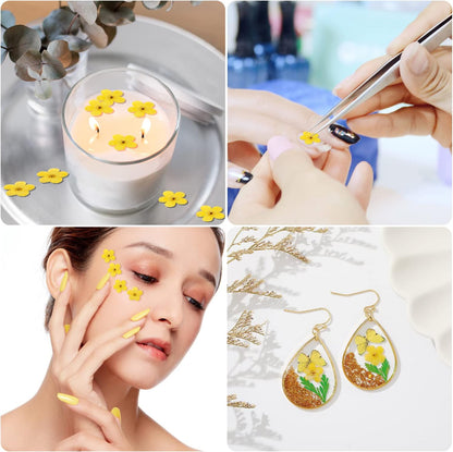 Forget Me Not Dried Flowers, 50Pcs Don't Forget Me Dried Flowers Natural Dried Pressed Flowers with Forceps for Resin Jewelry Making Candle Nail Art Flower Ornaments Paper Making Supplies