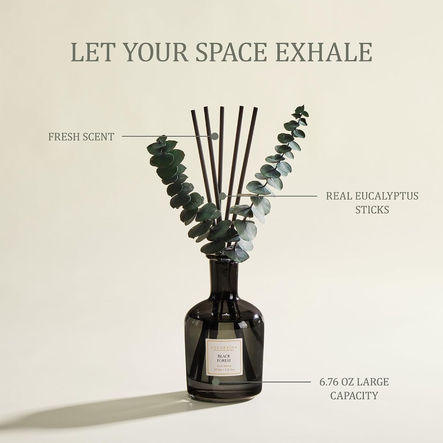Lemon Eucalyptus Reed Diffuser, 6.76 oz | Real Dried Eucalyptus Leaves, 8 Reeds, Long-Lasting Essential Oil, Home Fragrance, Bedroom or Bathroom Décor