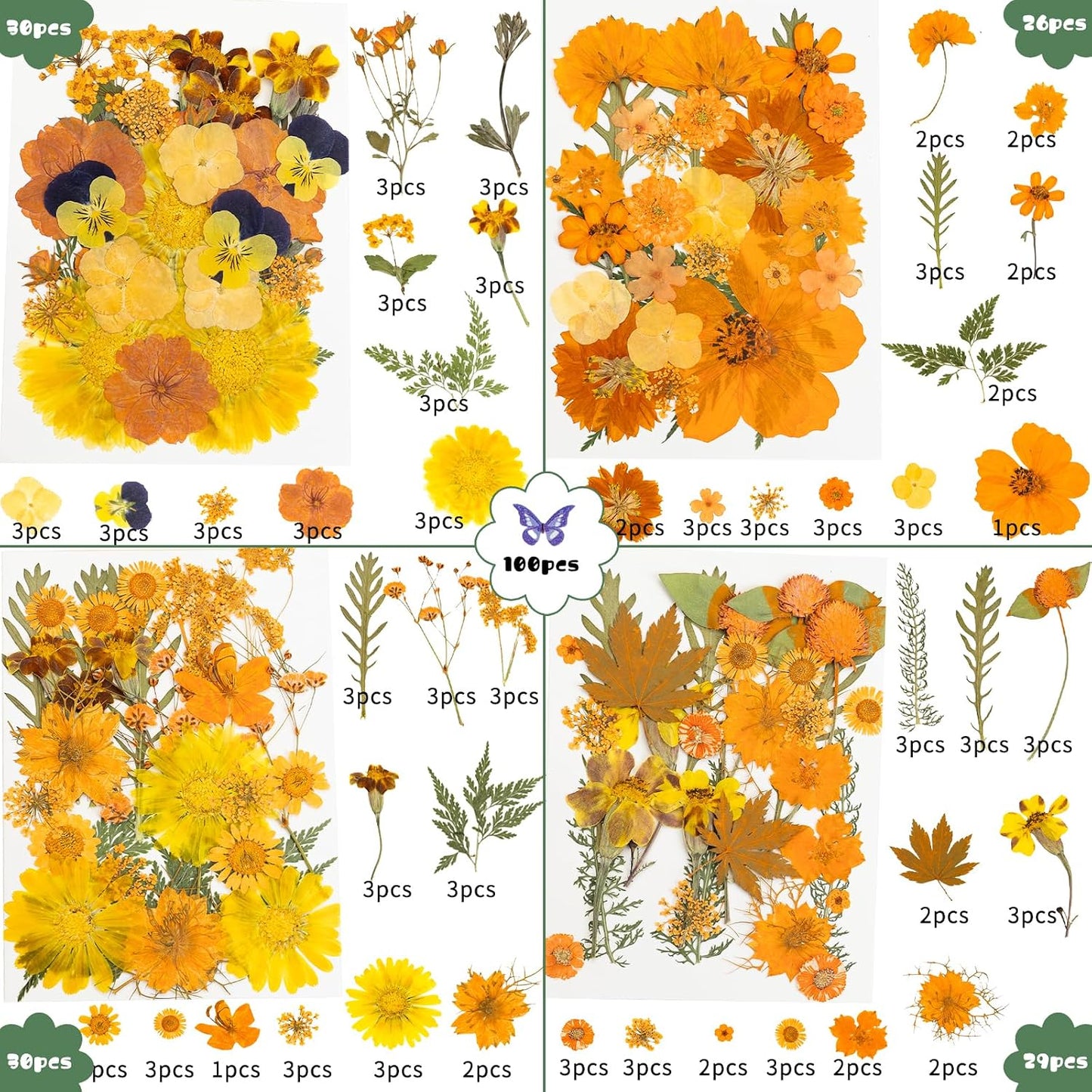 220 Pcs Dried Pressed Flowers for Resin Crafts, Real Natural Pressed Flowers and Leaves Kit Butterfly Stickers Vacuum Sealed Dry Flowers for DIY Epoxy Resin Jewelry Molds, Candle Soap Making, Nail Art