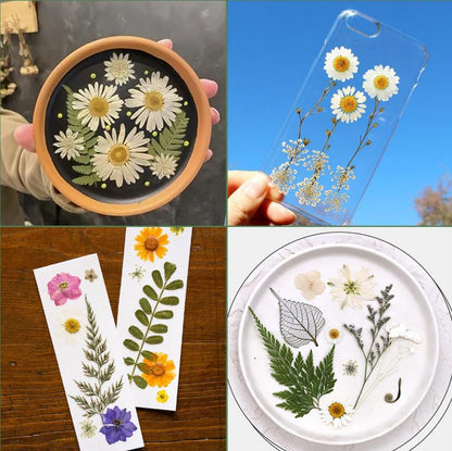 220 Pcs Dried Pressed Flowers for Resin Crafts, Real Natural Pressed Flowers and Leaves Kit Butterfly Stickers Vacuum Sealed Dry Flowers for DIY Epoxy Resin Jewelry Molds, Candle Soap Making, Nail Art