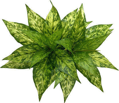 Artificial Agave Fake Plants, Faux Shrubs Grass Bushes Plant Plastic Flowers for Wedding Party Office Indoor Outdoor Room Yard Garden Greenery Leaves Decor Planter Filler Decoration Yellow 2 Pack