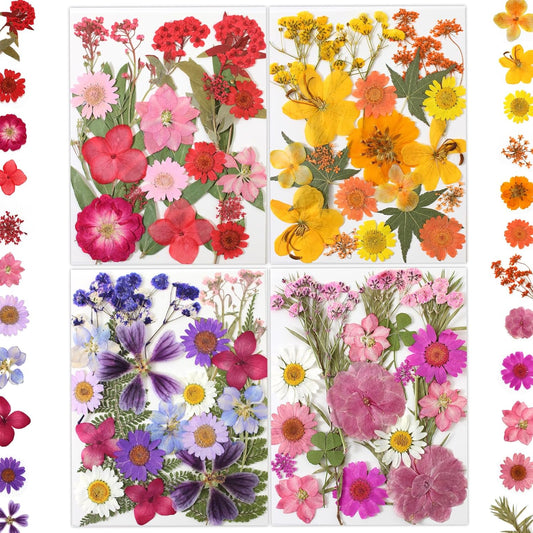 80P Yellow Red Pink Blue Dried Pressed Flowers | Fresh natural color mix, blooms and leaves ready to craft, for resin jewelry scrapbook candle frame decor, tweezers included
