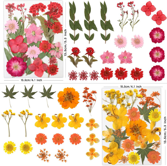 80P Yellow Red Pink Blue Dried Pressed Flowers | Fresh natural color mix, blooms and leaves ready to craft, for resin jewelry scrapbook candle frame decor, tweezers included