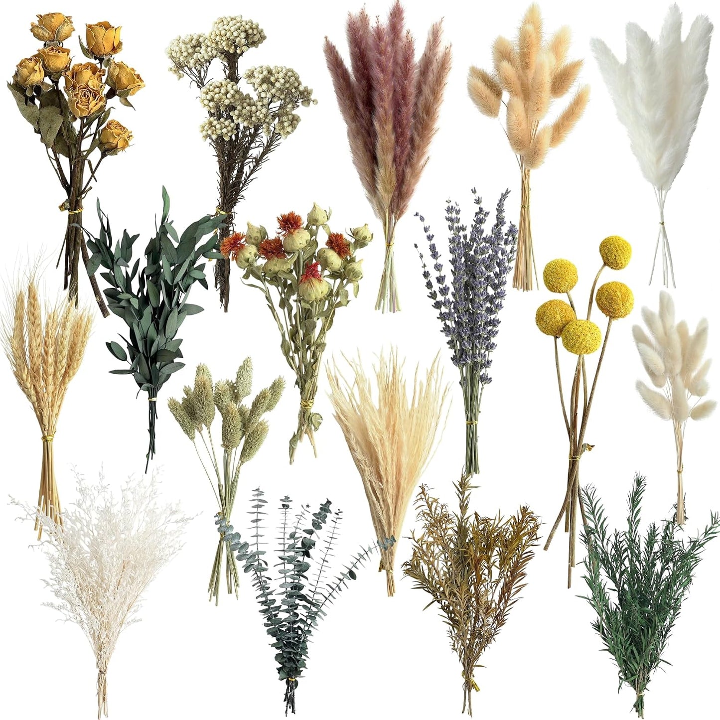 16 Varieties Dried Flowers Set, Mini Natural Dried Flowers Bulk with Stems for Vase Fillers, DIY Crafts, Wreath Making, Rustic Farmhouse Boho Home Decor, Wedding Floral Arrangement Brown Mix (7"-8")