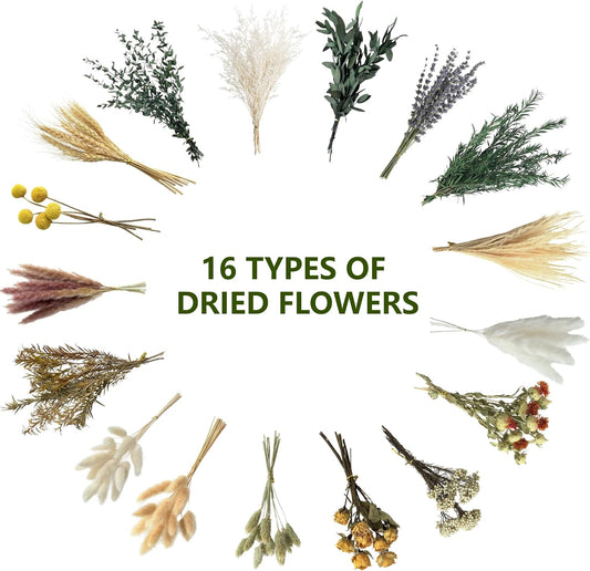 16 Varieties Dried Flowers Set, Mini Natural Dried Flowers Bulk with Stems for Vase Fillers, DIY Crafts, Wreath Making, Rustic Farmhouse Boho Home Decor, Wedding Floral Arrangement Brown Mix (7"-8")