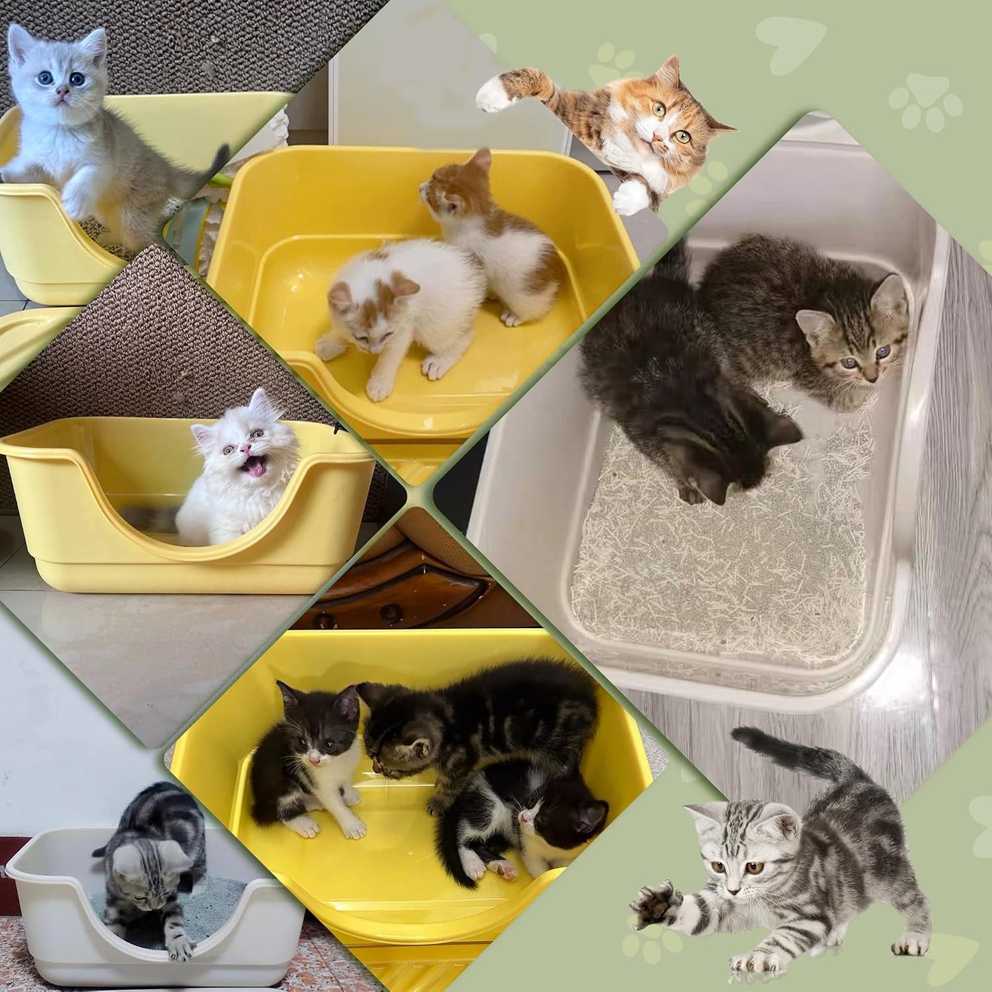 Low Entry Small Litter Box for Kittens, Kitty Plastic Litter Boxes, Open Top, Anti-Splash High Sided Litter Tray Pan for Medium Pets, Puppy, Easy to Clean, 15.7" L*11.8" W*6.7" H (Black)