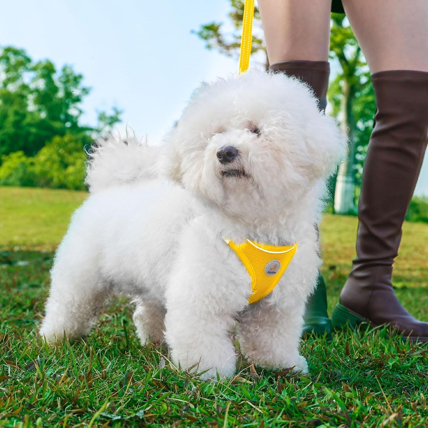 Dog Harness and Leash Set, No Pull Soft Mesh Puppy Harness for Small Medium Dogs, Cats - Step in Reflective Breathable Lightweight Vest Harness for Walking, Training - Yellow, XS