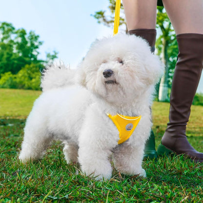 Dog Harness and Leash Set, No Pull Soft Mesh Puppy Harness for Small Medium Dogs, Cats - Step in Reflective Breathable Lightweight Vest Harness for Walking, Training - Yellow, XS