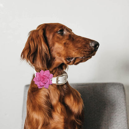 Dog Collar Flowers Attachement Bow Tie Accessories for Pet Grooming 4pcs | OD 8cm; Chiffon; Hot Pink, Mint Cyan, Bright Yellow, Violet
