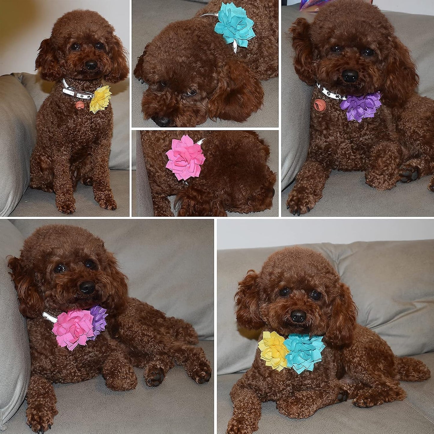 Dog Collar Flowers Attachement Bow Tie Accessories for Pet Grooming 4pcs | OD 8cm; Chiffon; Hot Pink, Mint Cyan, Bright Yellow, Violet