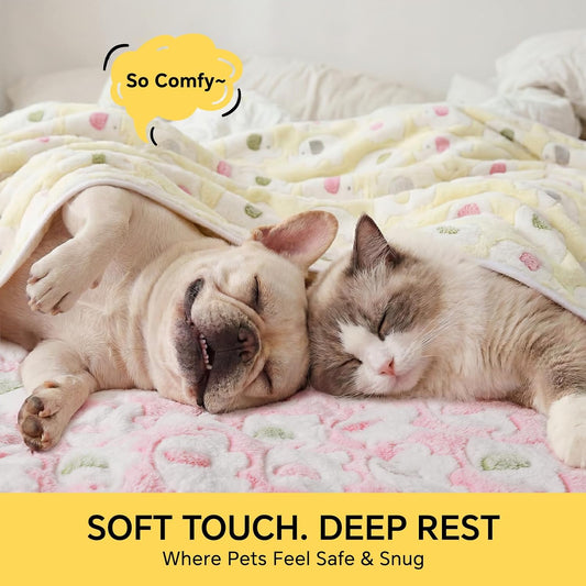 1 Pack 3 Blankets Super Soft Fluffy Premium Cute Elephant Pattern Pet Blanket Flannel Throw for Dog Puppy Cat Blue/Pink/Yellow Small(23x16 inch)