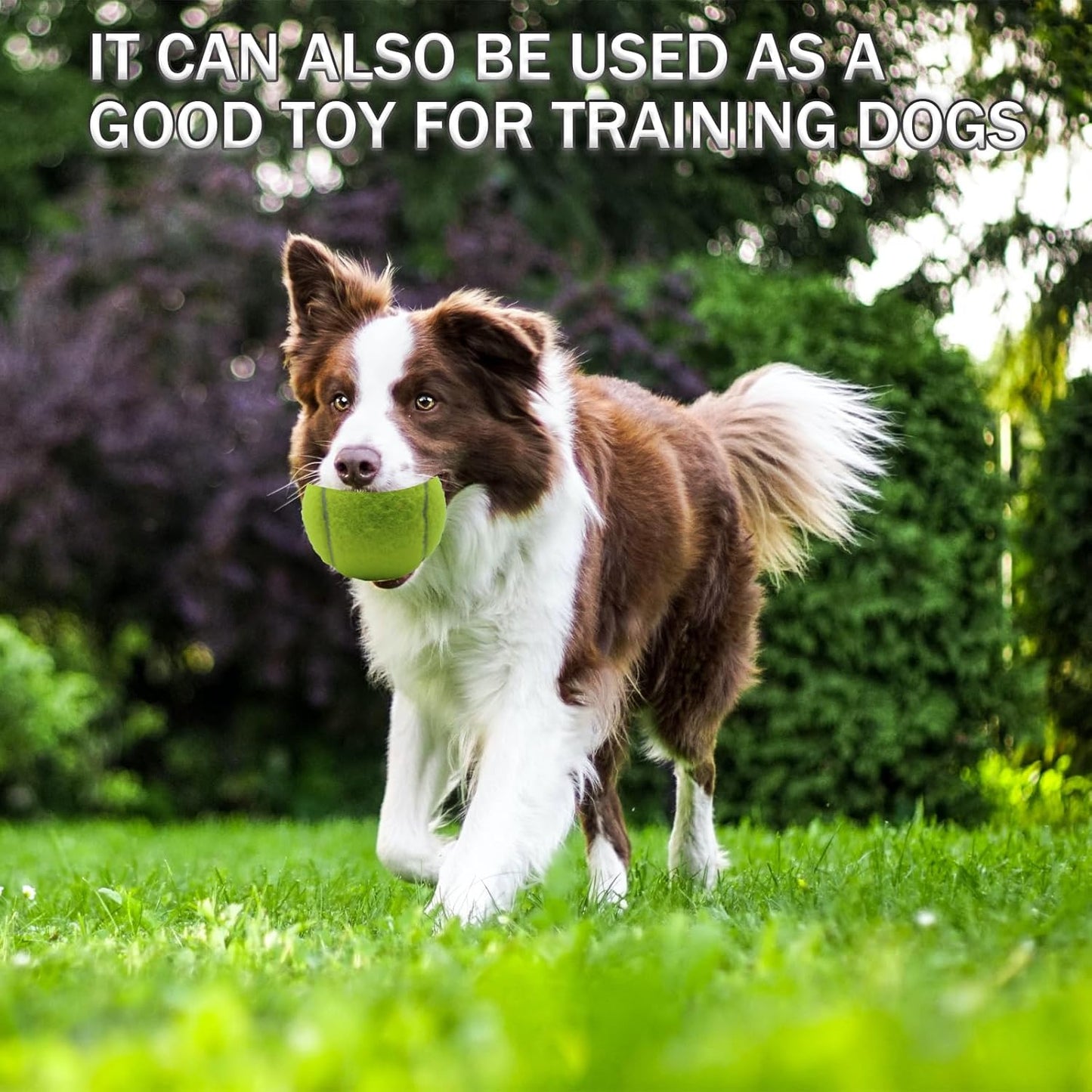 SHYUJAJIE Tennis Balls, 6 Pack Training Tennis Balls,High Elasticity Practice Balls for Beginner, Playing Balls for Dogs