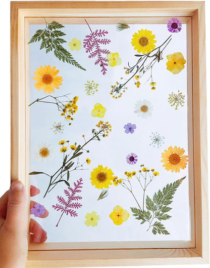 4 Pack Dried Flowers for Resin Molds, 137 Pcs Real Natural Dried Pressed Flowers, Yellow Natural Dried Pressed Leaves for Pressed Leaf Art Craft DIY Embellishment Decorations
