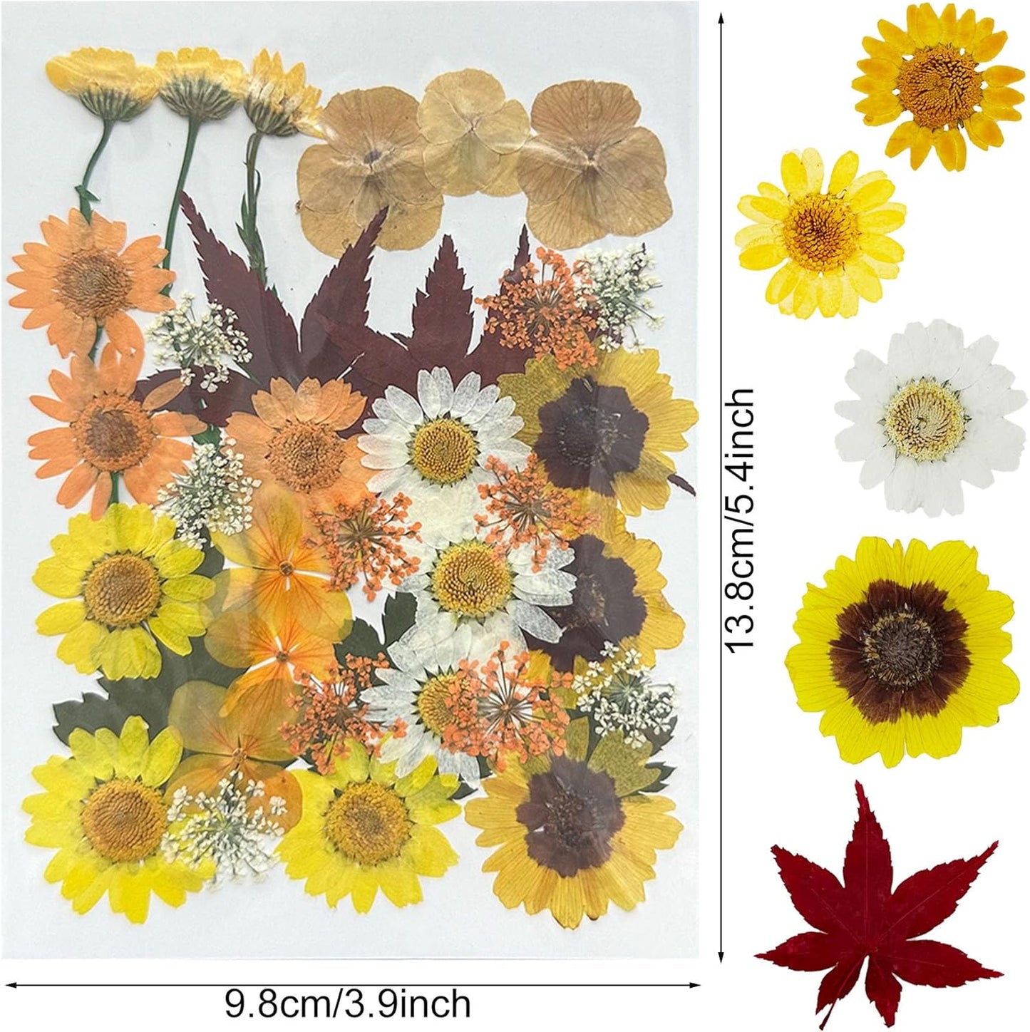 4 Pack Dried Flowers for Resin Molds, 137 Pcs Real Natural Dried Pressed Flowers, Yellow Natural Dried Pressed Leaves for Pressed Leaf Art Craft DIY Embellishment Decorations