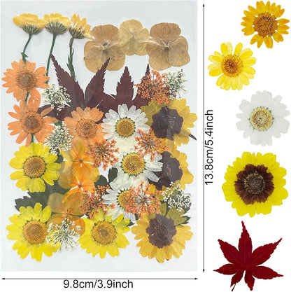 4 Pack Dried Flowers for Resin Molds, 137 Pcs Real Natural Dried Pressed Flowers, Yellow Natural Dried Pressed Leaves for Pressed Leaf Art Craft DIY Embellishment Decorations