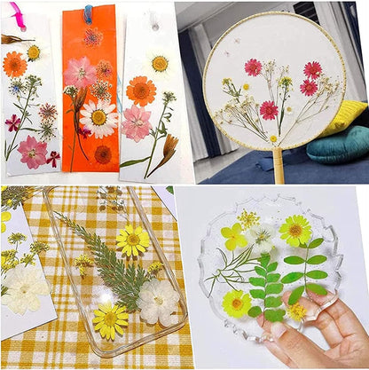 4 Pack Dried Flowers for Resin Molds, 137 Pcs Real Natural Dried Pressed Flowers, Yellow Natural Dried Pressed Leaves for Pressed Leaf Art Craft DIY Embellishment Decorations