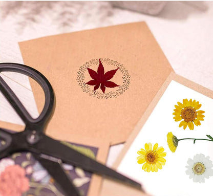 4 Pack Dried Flowers for Resin Molds, 137 Pcs Real Natural Dried Pressed Flowers, Yellow Natural Dried Pressed Leaves for Pressed Leaf Art Craft DIY Embellishment Decorations