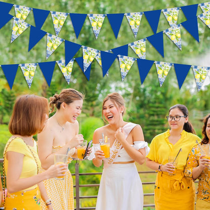 Blue and Lemon Party Decorations - 3pcs Lemon Bunting Banners, Lemonade Hanging Triangle Banner Garland for Lemon Wedding Engagement Bridal Shower Bachelorette Baby Shower Birthday Party
