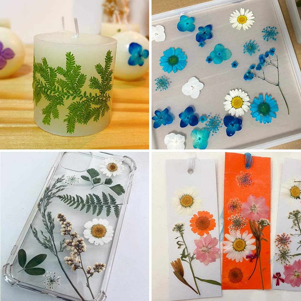 42 PCS Real Dried Pressed Leaf Flowers Plant Herbarium for Craft Resin Jewelry Making (Green Leaf )