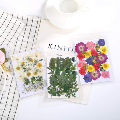 42 PCS Real Dried Pressed Leaf Flowers Plant Herbarium for Craft Resin Jewelry Making (Green Leaf )