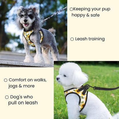 Sunflowers Yellow No Pull Dog Harness and Leash Set, Adjustable Reflective Vest for Small Dogs,Cute Soft Puppy Harness for Walking Training,M(Chest:17"-19")