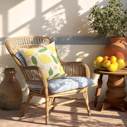 2 Pcs Lemon Embroidered Pillow Covers 18 x 18 Inch Summer Fruit Jacquard Decorative Pillow Covers, Leaf and Lemon Farmhouse Soft Plush Pillowcase for Sofa Bed