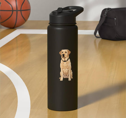 Yellow Labrador Retriever Sitting Dog Illustration For Pet-l Stainless Steel Insulated Water Bottle