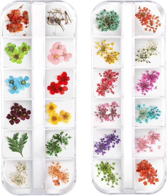 Teenior 24 Colors Nail Dried Flowers, 3D Nail Art Sticker for Tips Manicure Decor Mixed Accessories, Leaves Flower (2 Boxes)