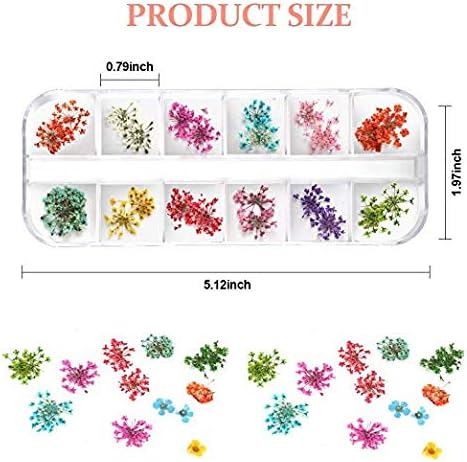 Teenior 24 Colors Nail Dried Flowers, 3D Nail Art Sticker for Tips Manicure Decor Mixed Accessories, Leaves Flower (2 Boxes)