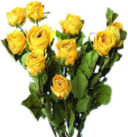 Natural Dried Flowers Bouquet, 10 Pcs Yellow Dried Roses Bouquet for Wedding Decoration and DIY Wreath Floral Home Decor