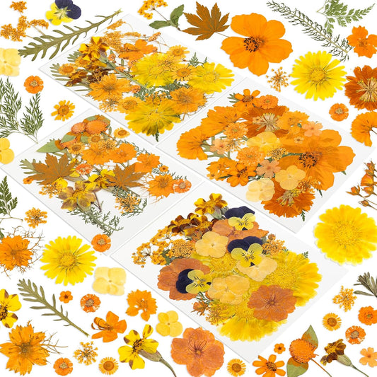 220 Pcs Dried Pressed Flowers for Resin Crafts, Real Natural Pressed Flowers and Leaves Kit Butterfly Stickers Vacuum Sealed Dry Flowers for DIY Epoxy Resin Jewelry Molds, Candle Soap Making, Nail Art