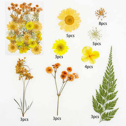 33 PCS Dried Pressed Flowers for Resin, Real Pressed Flowers Dry Leaves Kit Natural Dried Pressed Leaves for Art Crafts Resin Scrapbook Supplies Soap Candle DIY, Yellow