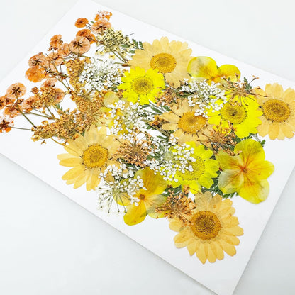 33 PCS Dried Pressed Flowers for Resin, Real Pressed Flowers Dry Leaves Kit Natural Dried Pressed Leaves for Art Crafts Resin Scrapbook Supplies Soap Candle DIY, Yellow