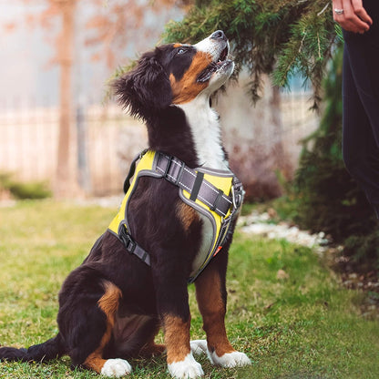 Dog Harness, No-Pull Pet Vest with Saddle Bags Backpack, Yellow | Front and Back Leash Clip, Adjustable Soft Padded, Reflective, No-Choke, Easy Control for Walking, Heavy Duty for Medium Dog