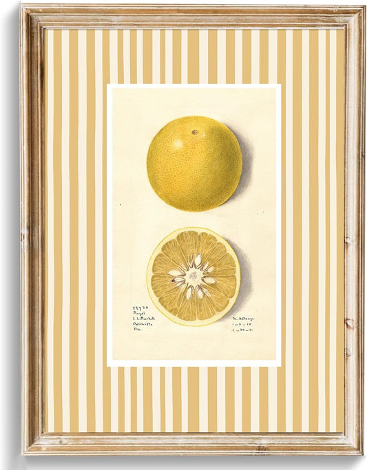 Vintage Lemon Wall Art Prints, Vintage Fruit Canvas Art Prints Painting, Yellow Striped Watercolor Lemon Print for Cottage Kitchen, Dining Desktop Decor - (8" x 10"-UNFRAMED)