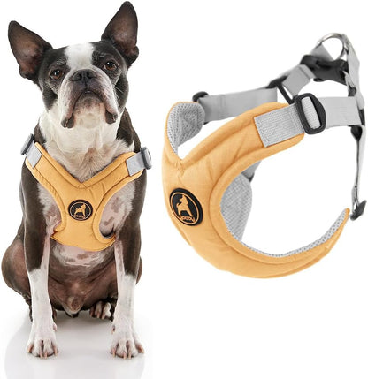 Memory Foam Step-in Dog Harness, Yellow, Medium | Memory foam padding; V-neck reduces choking; Fits tiny breeds (XS); Scratch-resistant; Breathable mesh; 4-point adjustment