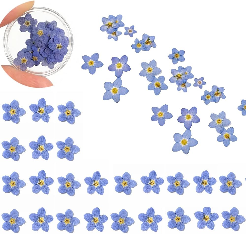 60 Pcs Natural Forget Me Not Dried Flowers Do Not Forget Me Dried Pressed Blooms Flowers for Jewelry Molds Candle Card Making DIY Art Crafts Painting Ornaments Nail Art Decorations Home Decor