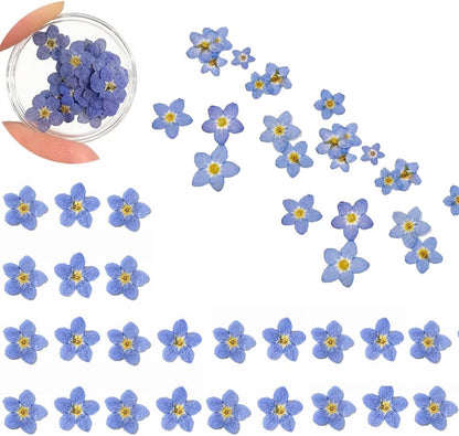 60 Pcs Natural Forget Me Not Dried Flowers Do Not Forget Me Dried Pressed Blooms Flowers for Jewelry Molds Candle Card Making DIY Art Crafts Painting Ornaments Nail Art Decorations Home Decor