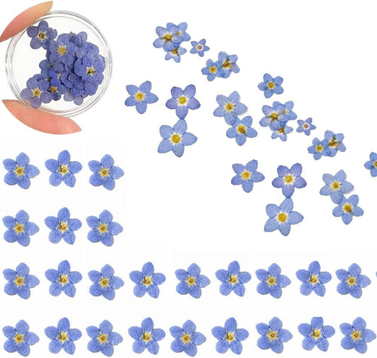 60 Pcs Natural Forget Me Not Dried Flowers Do Not Forget Me Dried Pressed Blooms Flowers for Jewelry Molds Candle Card Making DIY Art Crafts Painting Ornaments Nail Art Decorations Home Decor