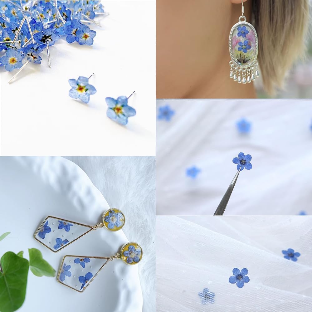 60 Pcs Natural Forget Me Not Dried Flowers Do Not Forget Me Dried Pressed Blooms Flowers for Jewelry Molds Candle Card Making DIY Art Crafts Painting Ornaments Nail Art Decorations Home Decor