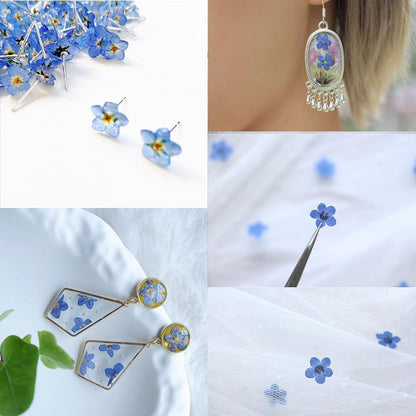 60 Pcs Natural Forget Me Not Dried Flowers Do Not Forget Me Dried Pressed Blooms Flowers for Jewelry Molds Candle Card Making DIY Art Crafts Painting Ornaments Nail Art Decorations Home Decor