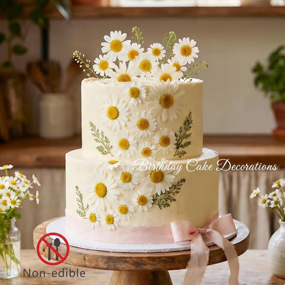 48 Pcs Natural Dried Pressed Daisy Flowers for Cake Decorating, Birthday Party Favors, Real Dry Daisies for Cupcakes, Resin Jewelry Making, DIY Art Crafts(Daisy)