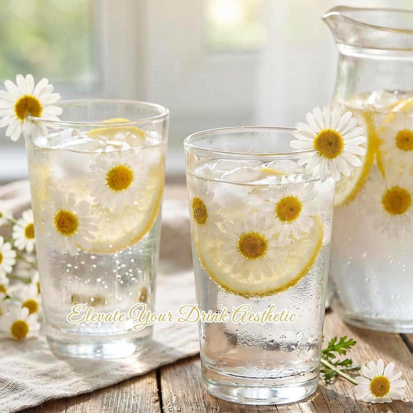 48 Pcs Natural Dried Pressed Daisy Flowers for Cake Decorating, Birthday Party Favors, Real Dry Daisies for Cupcakes, Resin Jewelry Making, DIY Art Crafts(Daisy)