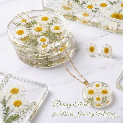 48 Pcs Natural Dried Pressed Daisy Flowers for Cake Decorating, Birthday Party Favors, Real Dry Daisies for Cupcakes, Resin Jewelry Making, DIY Art Crafts(Daisy)