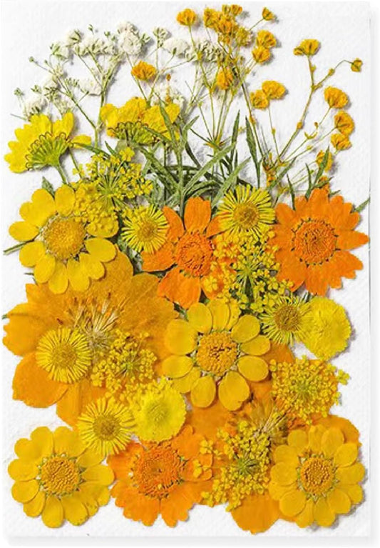 Dried Pressed Flowers for Resin, Real Pressed Flowers Dry Leaves Bulk Natural Herbs Kit for Scrapbooking DIY Art Crafts, Nails Décor, Epoxy Resin Jewelry, Candle, Soap Making (Bright Yellow)