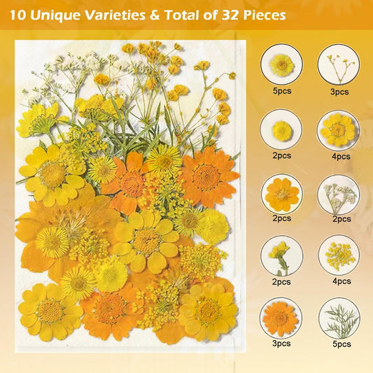 Dried Pressed Flowers for Resin, Real Pressed Flowers Dry Leaves Bulk Natural Herbs Kit for Scrapbooking DIY Art Crafts, Nails Décor, Epoxy Resin Jewelry, Candle, Soap Making (Bright Yellow)
