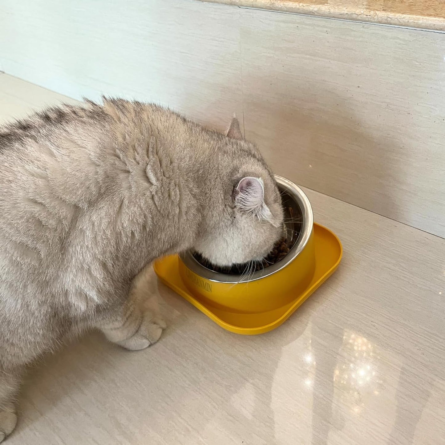 Tilted Cat Food Bowls, Cat Feeding Dishes Whisker Friendly, Slanted Flat Plastic Feeder Elevated Angled Design, 3 in 1 Combined Food Bowls(Yellow)