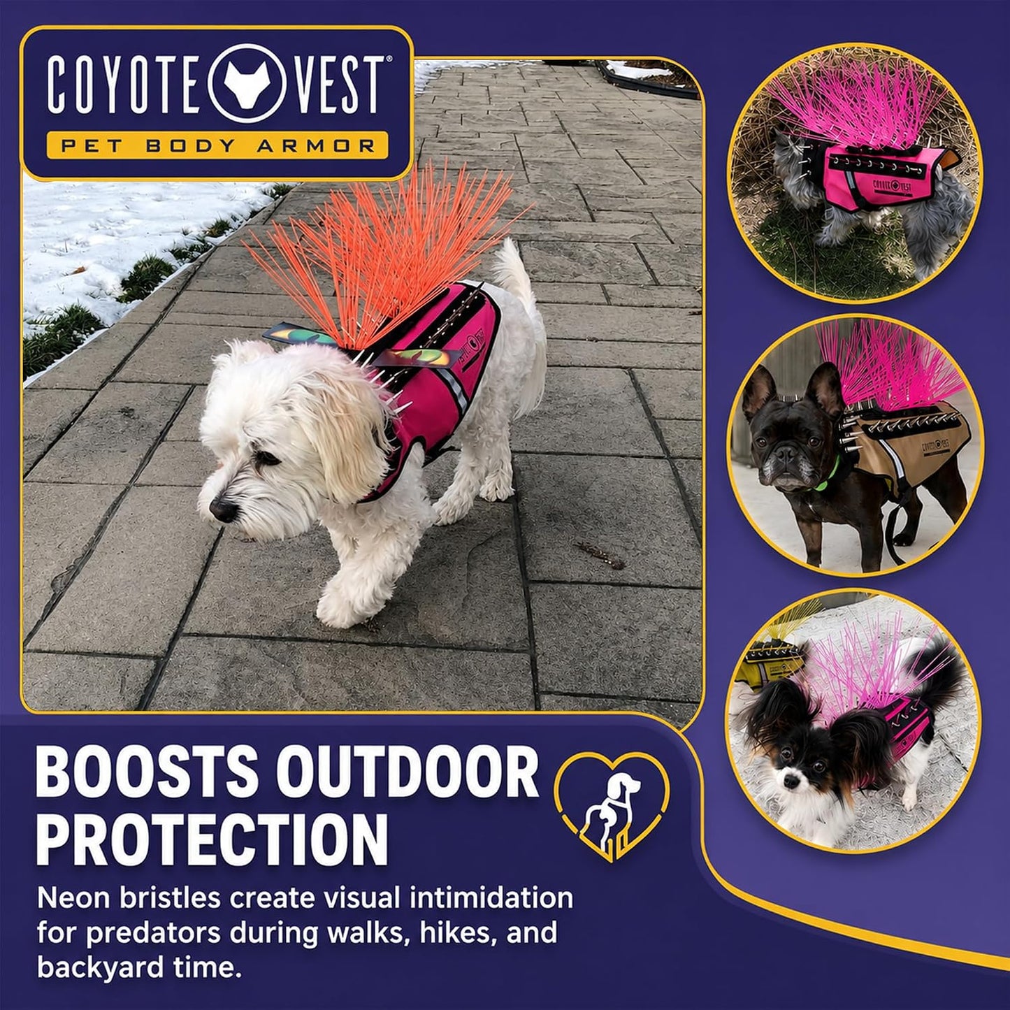 Coyotewhiskers Protective Nylon Dog Harness Bristles, Yellow | Nylon Bristles for or Spikevest Help Deter Coyotes, Aggressive Dogs and Birds of Prey Dog Accessory Made in USA